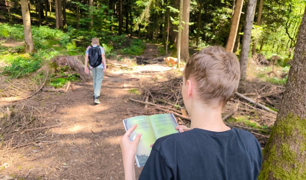 Pot močvirskih škratov na Mali plac Bevke tematiski park
