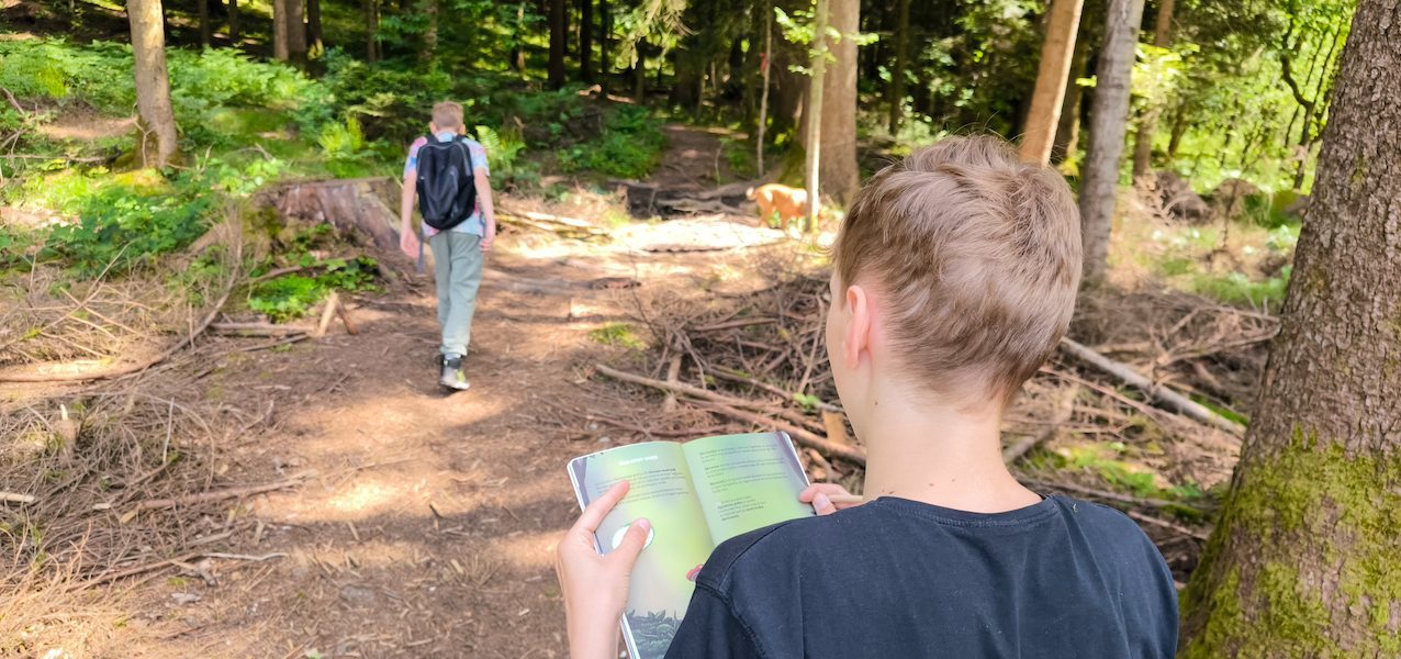 Pot močvirskih škratov na Mali plac Bevke tematiski park