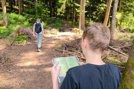 Pot močvirskih škratov na Mali plac Bevke tematiski park