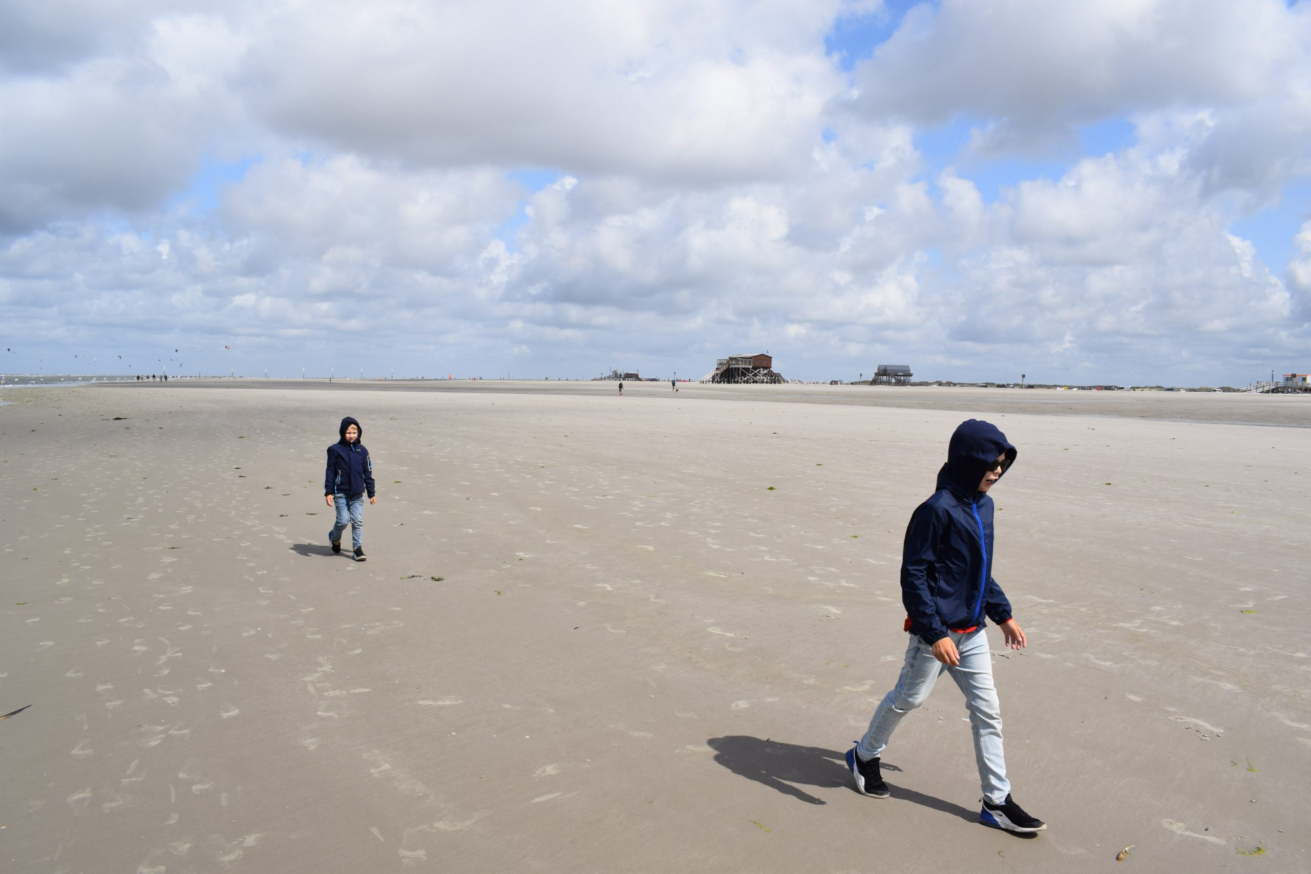 Hoja po plitvinah Waddenskega morja_Severno morje_Severna Nemčija