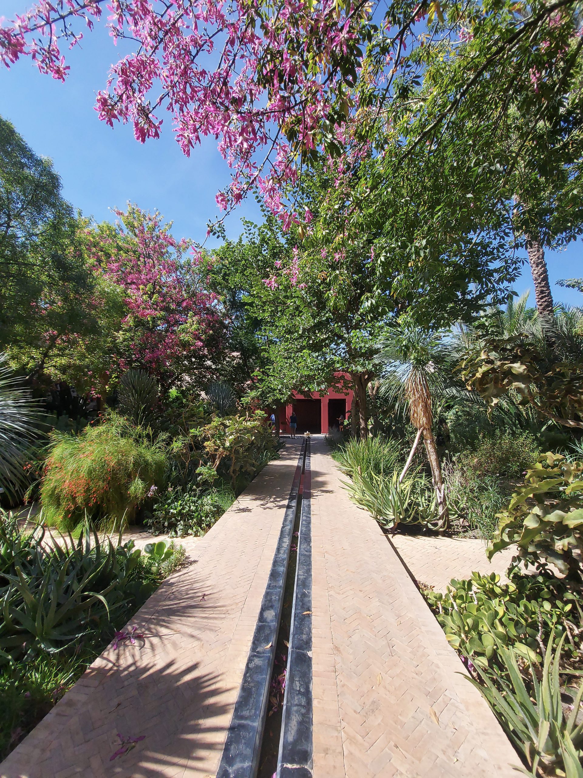 Le Jardin secret eksotični vrt voda