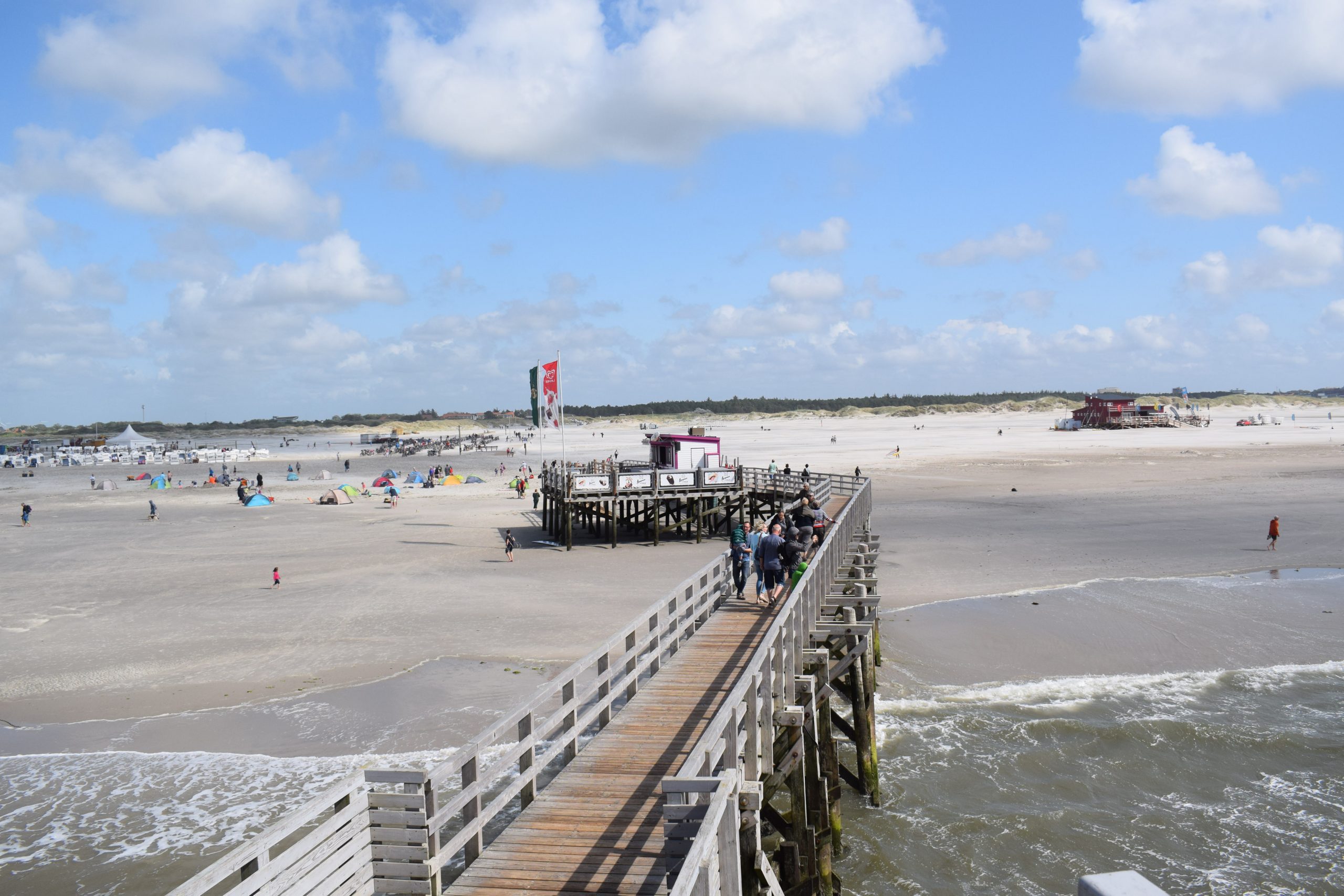 Waddensko morje_most do hiše na kolih_Severno morje_mokrišče