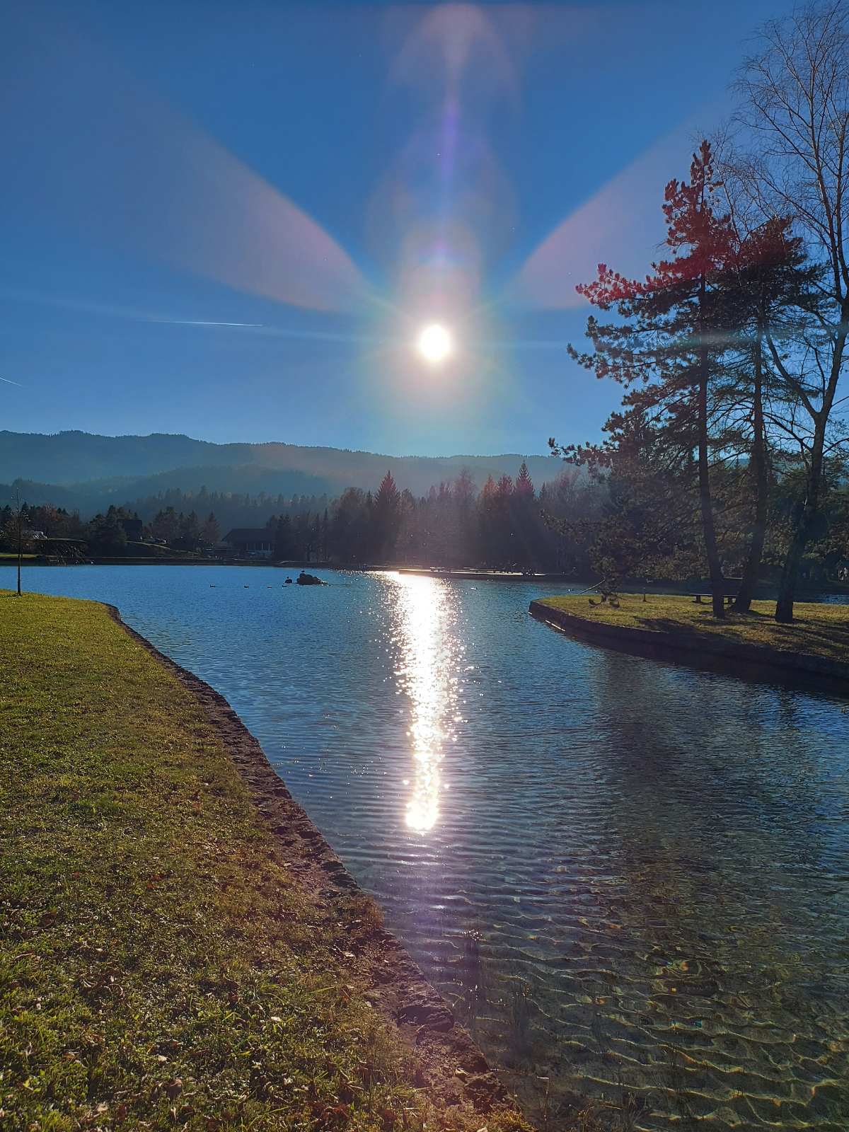 Šobčev bajer naravna kopališča