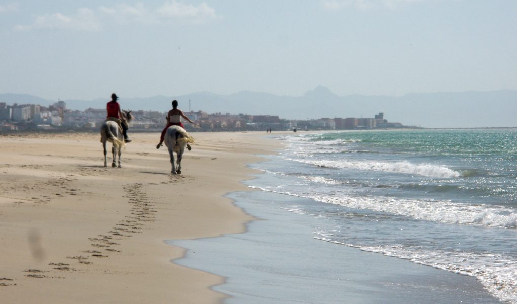Tarifa jahanje po peščenih plažah