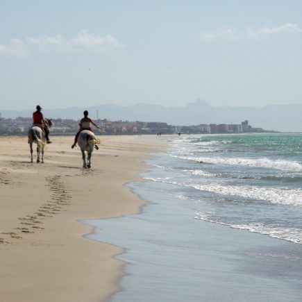 Tarifa jahanje po peščenih plažah