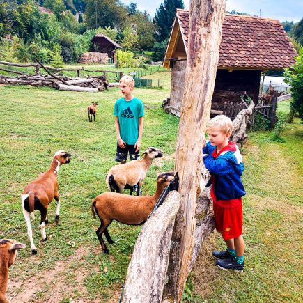 Hiša Ida Stična izleti n Dolenjsko z otroki