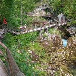 Blejski vintgar Bled