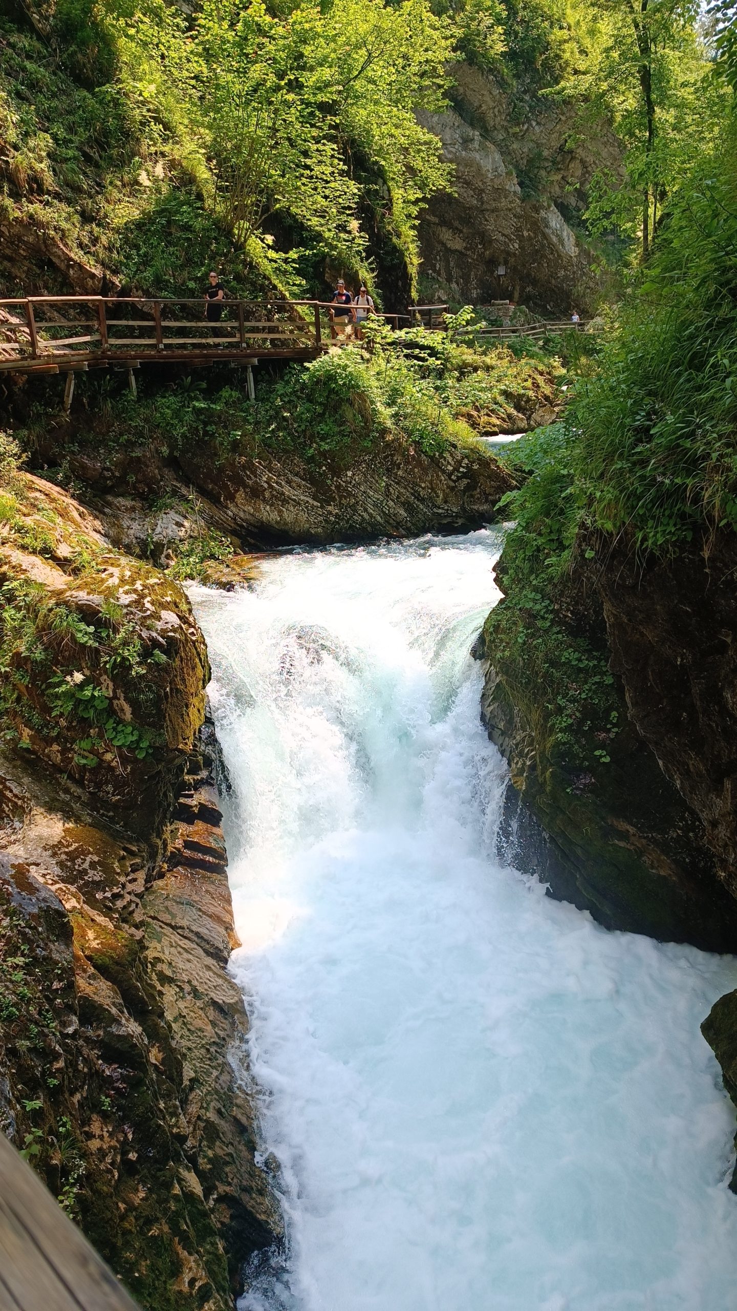 Blejski vintgar Slovenia Bled