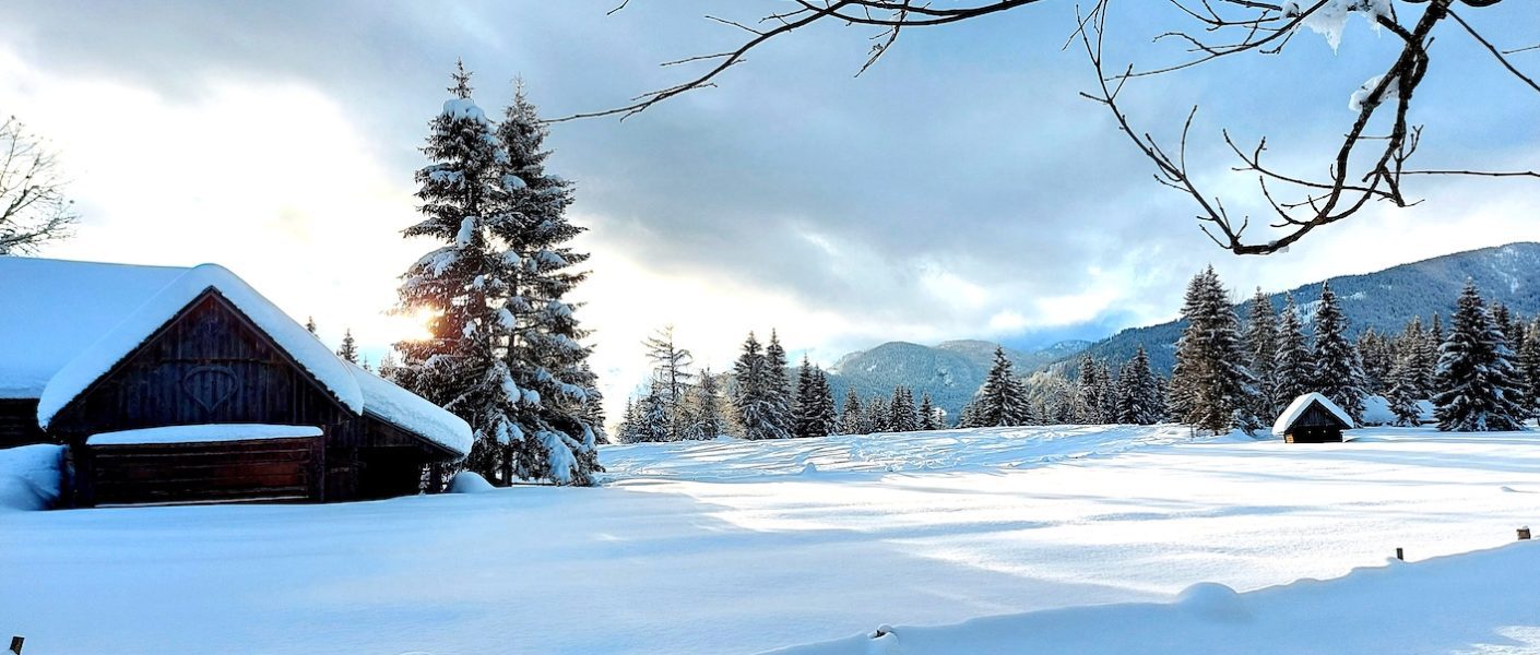 Pokljuka Uskovnica sneg