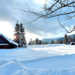 Pokljuka Uskovnica sneg