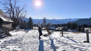 Sanja Macur Pokljuka izleti s psom na sneg