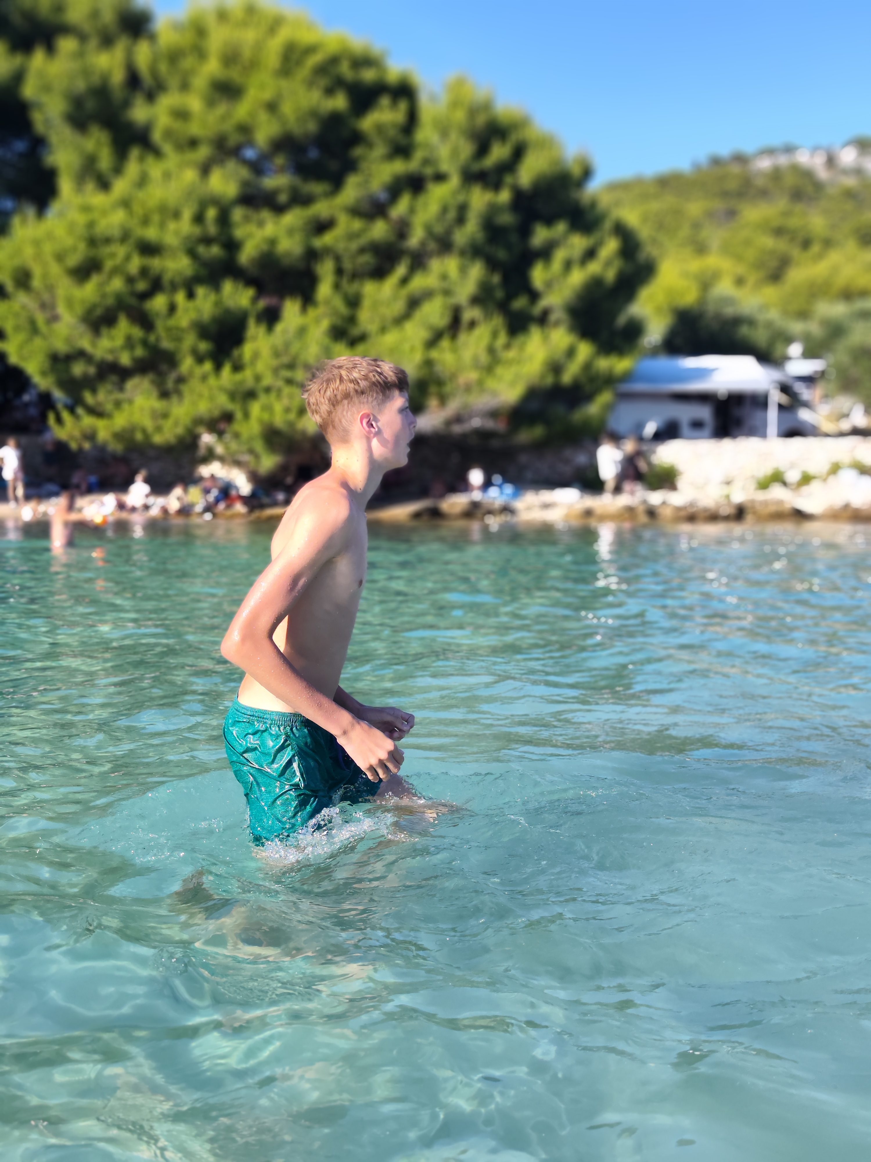Plaža Kosirina mivka, borovci