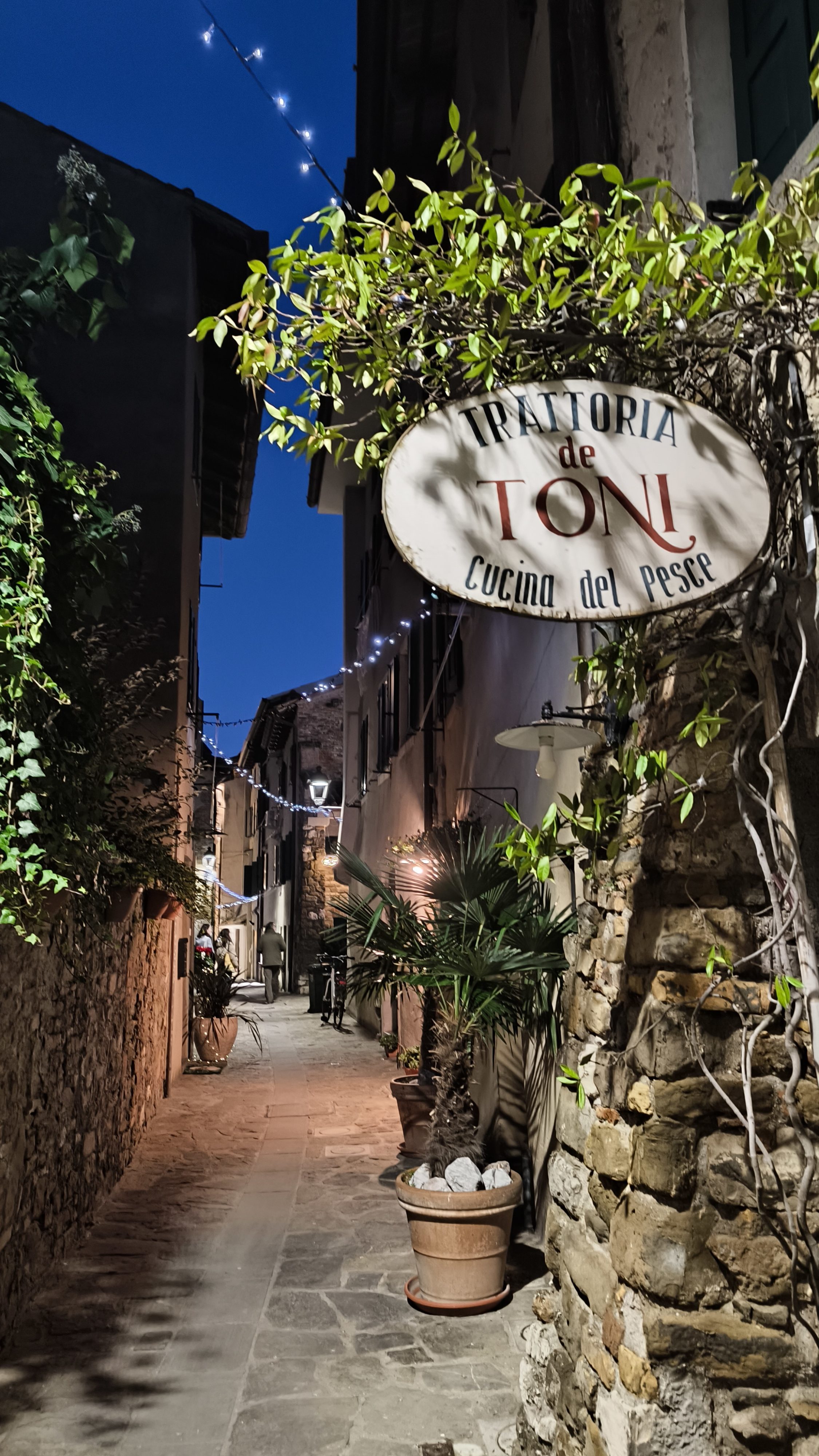 Gradež restavracije 1