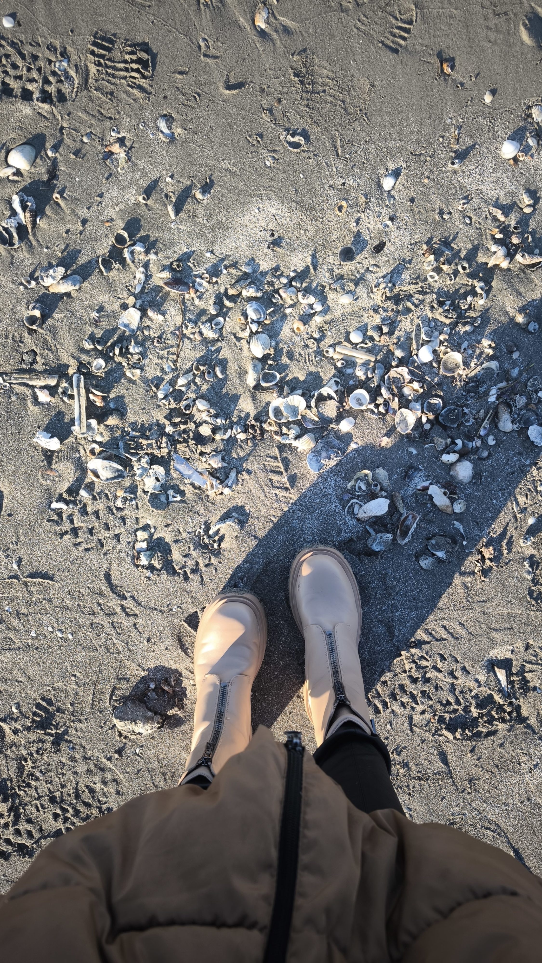 Školjke na mivkasti plaži Gradež Grado