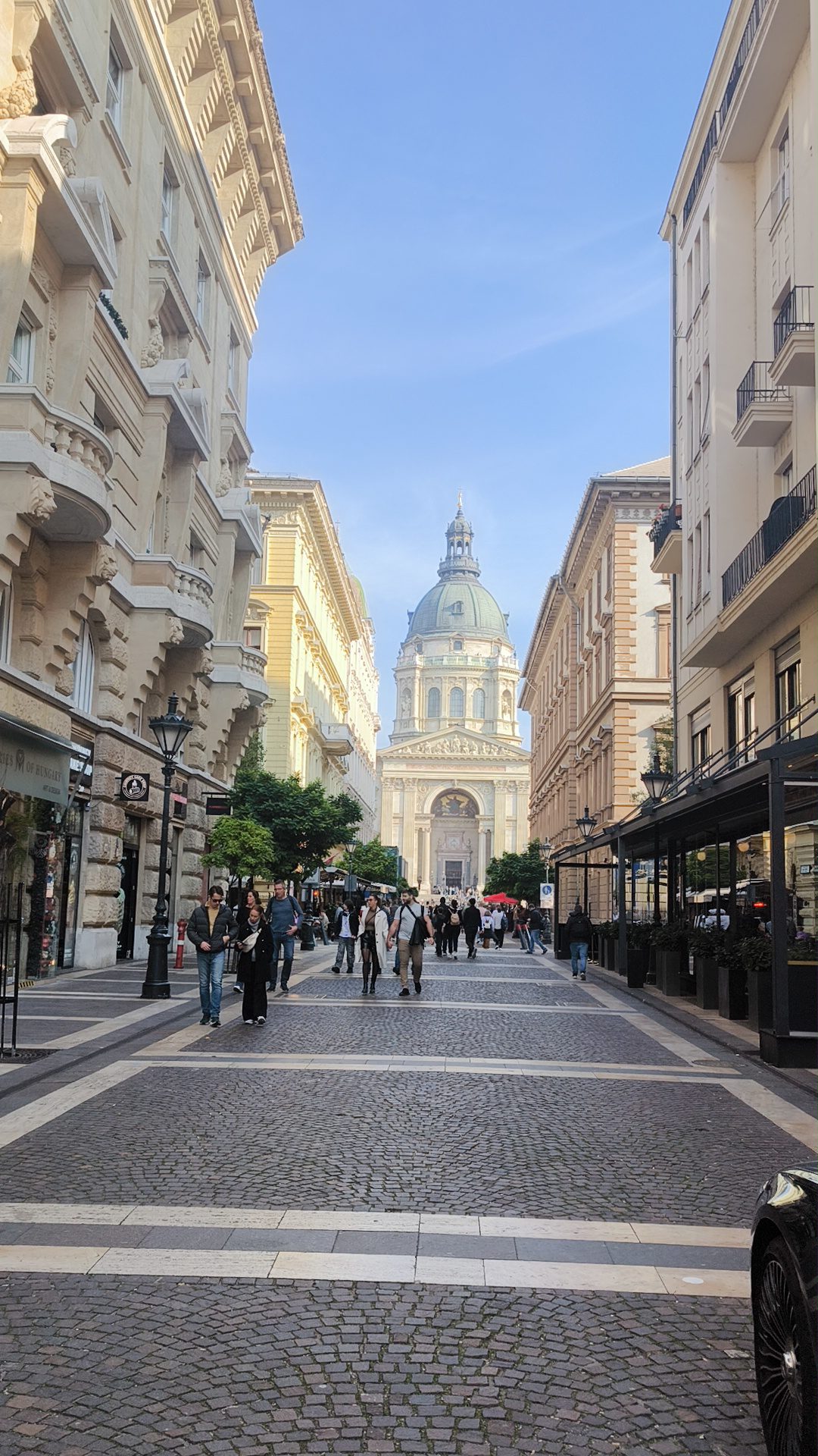 Razgled Budimpešta na baziliko
