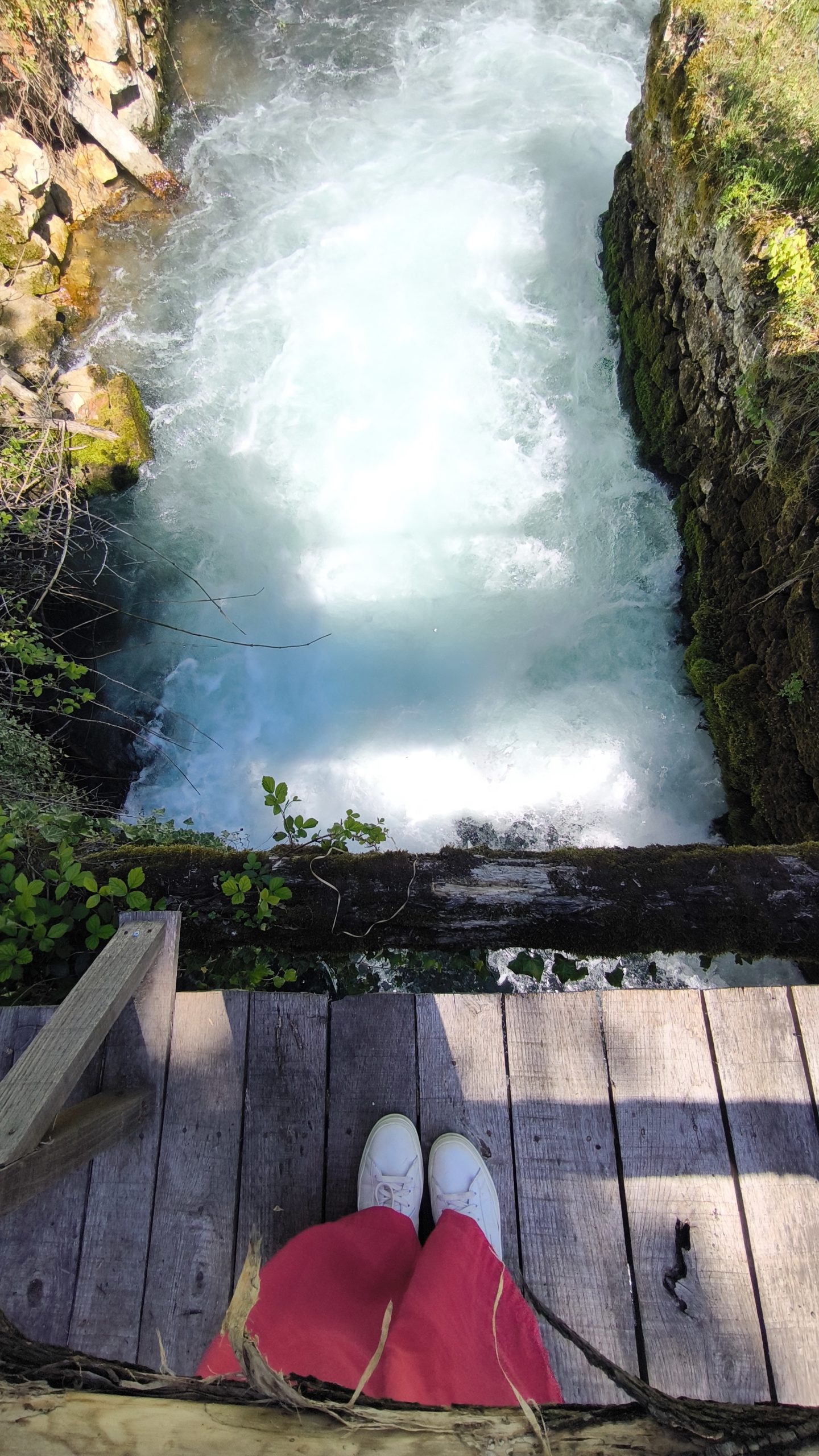 Preskoči na glavno vsebinoPreskoči na orodno vrstico O WordPressu Sanja Macur 44 razpoložljive posodobitve 2929 komentarjev v moderaciji Nov Prikaži prispevek Performance 1 WPCode ExactMetrics6 CleanTalk6261 Feed Them Social Pozdravljeni, Sanja Macur Uredi prispevek Naravne znamenitosti blizu Plitvic – manj znani, a čudoviti kotički · Prispevek ⌘K Shrani osnutek 40/100 Objavi Spremenite vrsto ali slog bloka Premakni blok Galerija navzgor, iz položaja 9 na položaj 8 Premakni blok Galerija navzdol iz položaja 9 na položaj 10 Spremeni poravnavo Naravne znamenitosti blizu Plitvic – manj znani, a čudoviti kotički Spoznajte manj znane naravne znamenitosti v bližini Plitvic – od izvirov, naravnih kopališč, do čarobnih razgledov brez gneče turistov. Idealno za raziskovalce, ki si želijo več kot le klasične poti. Ta članek je del vodiča Plitviška jezera in okolica. 👉 [Nazaj na glavni vodnik] 👉 [Več: Željava, Nastanitve, Rastoke, Plitviška jezera …] Narava v okolici Plitviških jezer je res krasna. Polna izvirov, slapov, sanjavih travnikov, jam, možnosti za ježo konj, raziskovanja neokrnjene narave in gozdnih poti, ki so sicer res polne živalskih stopinj. Že dolgo nismo srečali toliko zajcev, srn, fazanov, in opazili toliko stopinj divjih svinj - kot bi bili v prostranem narodnem parku. Zdaj pa k namigom, kaj vse doživeti v naravi v okolici Plitviških jezer. 💧Izvir Slunjčice (lokacija) Ta slika ima prazen atribut alt; ime datoteke je izvir-Slunjcice-scaled.jpg Izvir Slunjčice 📍 Izhodišče: Parkirajte ob cesti pred spustom proti izviru (lokacija) 🚶‍♀️Čas izleta: Le 10 minut spusta s parkirišča, a vzemite si uro časa za potep, zelo lepo je posedeti ob izviru. Opis: Na poti med Rastokami in Plitviškimi jezeri se nahaja povsem neobljuden kraški izvir Slunjčice (lokacija izvira), do katerega se boste spuščali kakšnih 10 minut. Smaragdna, kristalno čista in zelo mrzla voda (cca 10 stopinj) priteče na plano pod skalnato steno, tvori tolmun. Posedeli smo na nasipu - prostora za sprehod okoli izvira ni veliko, ker so poti zaraščeni, zato smo namočili stopala v kristalno Slunjčico in uživali v zvokih brzic. Galerija Povlecite in spustite slike, jih naložite ali izberite iz knjižnice. NaložiPredstavnostna knjižnica Namig: Ob reki Slunjčici lahko malo nižje obiščete tudi Petrovčev mlin (lokacija), 5 kilometrov od izvira pa vsekakor ne zamudite slapa Rastoke, ki ga tvori Slunjčica v slikoviti vasi Rastoke ob izlivu v reko Korano. 👉 Preberite podrobnejši vodnik po vasi Rastoke. 👷Baraćeve jame (lokacija) Baračeve špilje Varnostna oprema Kraški svet v okolici Plitviških jezer vabi ne le k raziskovanju izvirov in slapov, teveč tudi zelo lepih jam. Čeravno se v tujini večinoma obisku kraških jam izogibam, saj res težko presežjo slovenske, nismo obžalovali obiska jame Baraćeve špilje, ki se nahajajo 6 km od Nacionalnega parka Plitvička jezera (preveri lokacijo). Svet Baraćevih jam Okostje medveda Odlično smo se imeli, ko smo s čeladami na glavah obiskali Baraćeve špilje, ki so jih vpisali že v 19. stoletju in so jih med drugo svetovno vojno uporabljali kot zalonišče. Še posebej so nas Baraćeve špilje pritegnile z: * res lepimi kapniki in lepo urejenimi potmi, * okostjem jamskega medveda, * odličnim vodenjem vodnika, * zanimivimi informativnimi tablami v okolici jam o živalskem in kraškem svetu * ter res izjemno lepo urejeno okolico, vredno daljšega postanka, saj so urejeni piknik prostori, sprehajalne poti, otroška in šortna igrišča in ležerne klopi za počivanje. Urejeno igrišče Baračeve špilje Urejeno igrišče, Baraćeve špilje Vstopnina v Baraćeve špilje je kar visoka, a nakupa vstopnic in ogleda nismo obžalovali. Tu laho preživite res sproščujoče ure v zelo lepi naravi. Pripravite pa se na nekaj ovinkov do tja. 🐎Ranči s konji in jeleni Okolica Plitviških jezer je polna rančev s konji, s katerih se lahko odpravite na raziskovanje čudovite okoliške narave in jezdenje po rekah, tudi če nimate predhodnega znanja ježe. Idiličen ranč s konji Terra Plitvice Idiličen ranč Terra ﻿ Posebej lepo je urejeno na družinskem Ranču Terra v Irinovcu (lokacija), 8 km od Plitviških jezer, kjer so nas prijazno sprejeli in razložili, da se s konji ukvarja vsa družina. Termin je, pravijo, dobro zakupiti nekaj dni prej. Raziskovanje okolice s hrbta teh krasnih živali lahko traja vse od 1 ure do 7 ur s postanki, kot so jame, Stari grad Drežnik in bližnji Ranč Jelenja dolina 🦌. --> 🐎Termin nepozabne ježe z Ranča Terra rezervirajte tukaj 🏰 Stari grad Drežnik (lokacija) Stari grad Drežnik Stari grad Kako lepih nekaj ur smo preživeli tu! Ruševine Starega gradu Drežnik, ki je bil prvič omenjen že davnega leta 1185, ostajajo simbol 400-letne obrambe območja ob reki Korani proti turškim vpadom. Grad je umeščen v čudovito naravo, z okoliškimi travniki in klopmi za posedanje, urejene pa so tudi pohodne poti po okolici. Razgledna točka na Korano Stari grad Drežnik Razgledna točka na Korano 🛡️ Znotraj odpiralnega časa se lahko povzpnete na razgledni stolp in ujamete dramatične poglede na kanjon Korane. Kadarkoli pa lahko prosto obiščete ruševine, posedite na zidovih, polnih preteklosti, in se podate po okoliških urejenih sprehajalnih poteh. 🏞️ Predlagam sprehod do razgledne točke na Korano (lokacija), oddaljene približno 20 minut hoje. 🏰 Slap Buk in Slap Rastoke (lokacija) 🏰 Prespite v naravi (lokacija) Več idej za izlete in prenočevanja v okolici Plitvic najdete v mojem glavnem vodniku po Plitvicah in okolici. 🔎 Ta objava vsebuje affiliate povezave. Hvala, ker z njihovo uporabo podpirate moje delo in ta brezplačen vodnik. Za sopotnike ✅ So vam moje vsebine blizu? Pridružite se mi tudi na družbenih omrežjih Instagram, Facebook in Youtube. ✅ Za spremljanje novosti in drugih ekskluzivnih vsebin in napotkov se prijavite v spodnji obrazec na moj novičnik. ✅ Uživate lahko tudi v branju moje prve e-knjige Povrni si upanje v ljubezen - s kodo "sopotniki" imate moji bralci stalen 40 % popust. ✨ Načrtuj sanjski potep ob in po Plitvicah: Premakni gorPremakni dolPreklopi ploščo: Yoast SEO SEO Readability Schema Social Focus keyphraseHelp on choosing the perfect focus keyphrase(Opens in a new browser tab) Naravne znamenitosti blizu Plitvic Get related keyphrases(Opens in a new browser tab) Search appearance Determine how your post should look in the search results. Preview as: Mobile resultDesktop result Url preview: Sanja Macur sanjamacur.com SEO title preview: Naravne lepote blizu Plitvic - skrivni kotički za obisk Meta description preview: Avg 1, 2025 － Raziščite manj znane naravne lepote ob Plitvicah – od izvirov, rančev, jam do razgledov. Ideje za vse, ki iščete avtentične kotičke narave. SEO title Use AI Insert variable Naravne lepote blizu Plitvic - skrivni kotički za obisk Slug naravne-znamenitosti-blizu-plitvic Meta description Use AI Insert variable Raziščite manj znane naravne lepote ob Plitvicah – od izvirov, rančev, jam do razgledov. Ideje za vse, ki iščete avtentične kotičke narave. SEO analysisGood Naravne znamenitosti blizu Plitvic Premium SEO analysis Premium Add related keyphrase Premium Track SEO performance Internal linking suggestions Premium Cornerstone content Advanced Insights Premakni gorPremakni dolPreklopi ploščo: AddToAny Premakni gorPremakni dolPreklopi ploščo: WPCode Page Scripts Premakni gorPremakni dolPreklopi ploščo: Polja po meri Dodaj polje po meri: Ime Vrednost — Izberi — Vnesite novo Polja po meri se lahko uporabijo za dodajanje metapodatkov prispevkom, katere lahko uporabite v vaši temi. Premakni gorPremakni dolPreklopi ploščo: YARPP: Related Posts Automatically display related content on this post If this is unchecked, then YARPP will not automatically insert the related posts at the end of this post. Related Posts: No related posts matched. Updating the post may change the matches. Configure Options Refresh Premakni gorPremakni dolPreklopi ploščo: Posamezne Izjeme za Ad Inserter Blok Ime Privzeto vstavljanje Za ta Prispevek 1 Blok 1 Omogočeno Onemogočeno Privzeto vstavljanje se lahko nastavi za vsak blok na strani Ad Inserter Nastavitve - gumb poleg kljukice za vklop Strani oznak / arhiva. Ko so posamezne izjeme za blok vključene, se bo tukaj izpisala kljukica za spremembo privzetega vstavljanja za ta prispevek ali stran. Na ta način lahko posamezno omogočite ali onemogočite blok na določenem prispevku ali strani. Za več informacij poglejte stran Ad Inserter Posamezne Izjeme. Prispevek Blok Galerija Prikažite več slik v obogateni galeriji. Envira Gallery Convert this gallery to an Envira Gallery Make your gallery shine with awesome customizations, drag and drop management, and much more. Convert to Envira Gallery Napredno Preskoči na izbran blok Odpri ploščo za objavljanje Prispevek Galerija ObvestilaPovlecite in spustite slike, jih naložite ali izberite iz knjižnice. Izberi datotekeIzberi datotekeIzberi datotekeIzberi datotekeIzberi datotekeIzberi datoteke Zapri okno Ustvari galerijo Dejanja Naloži datotekePredstavnostna knjižnica Filtriraj predstavnostne datotekeFiltriraj po vrsti Slike Filtriraj po datumu Vsi datumi Smush: All images Poišči predstavnost Seznam predstavnostnih datotek Prikazovanje 82 od 2763 predstavnostnih predmetov Naloži več PODROBNOSTI O PRIPONKI Izvir-Slunjcice-pri-Plitviskih-jezerih-scaled.jpg 2. avgusta, 2025 669 KB 1440 x 2560 slik. točk Izvirna slika: Izvir-Slunjcice-pri-Plitviskih-jezerih.jpg Uredi sliko Nepreklicno izbriši Nadomestno besedilo Naučite se opisati namen slike (se odpre v novem zavihku). Pustite prazno, če je slika zgolj okrasna.Naslov Izvir Slunjčice pri Plitviških jezerih Napis Opis URL datoteke: https://sanjamacur.com/wp-content/uploads/2025/08/Izvir-Slunjcice-pri-Plitviskih-jezerih-scaled.jpg Kopiraj naslov URL v odložišče Smush 14 images reduced by 1,5 MB (30.4%) Main Image size: 640,86 KB View Stats Dejanja za izbrane predstavnostne datoteke 2 izbrana predmeta Počisti Ustvari novo galerijo