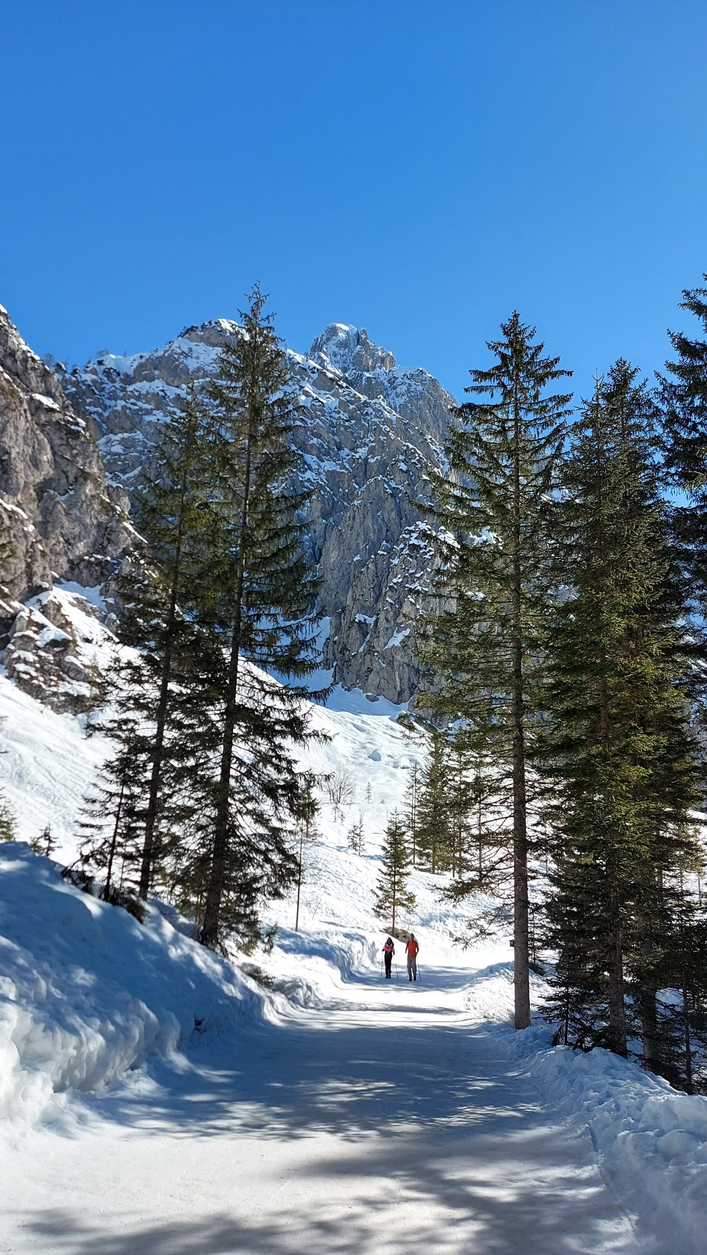 Pot v Tamar zimski izleti kam na pohod