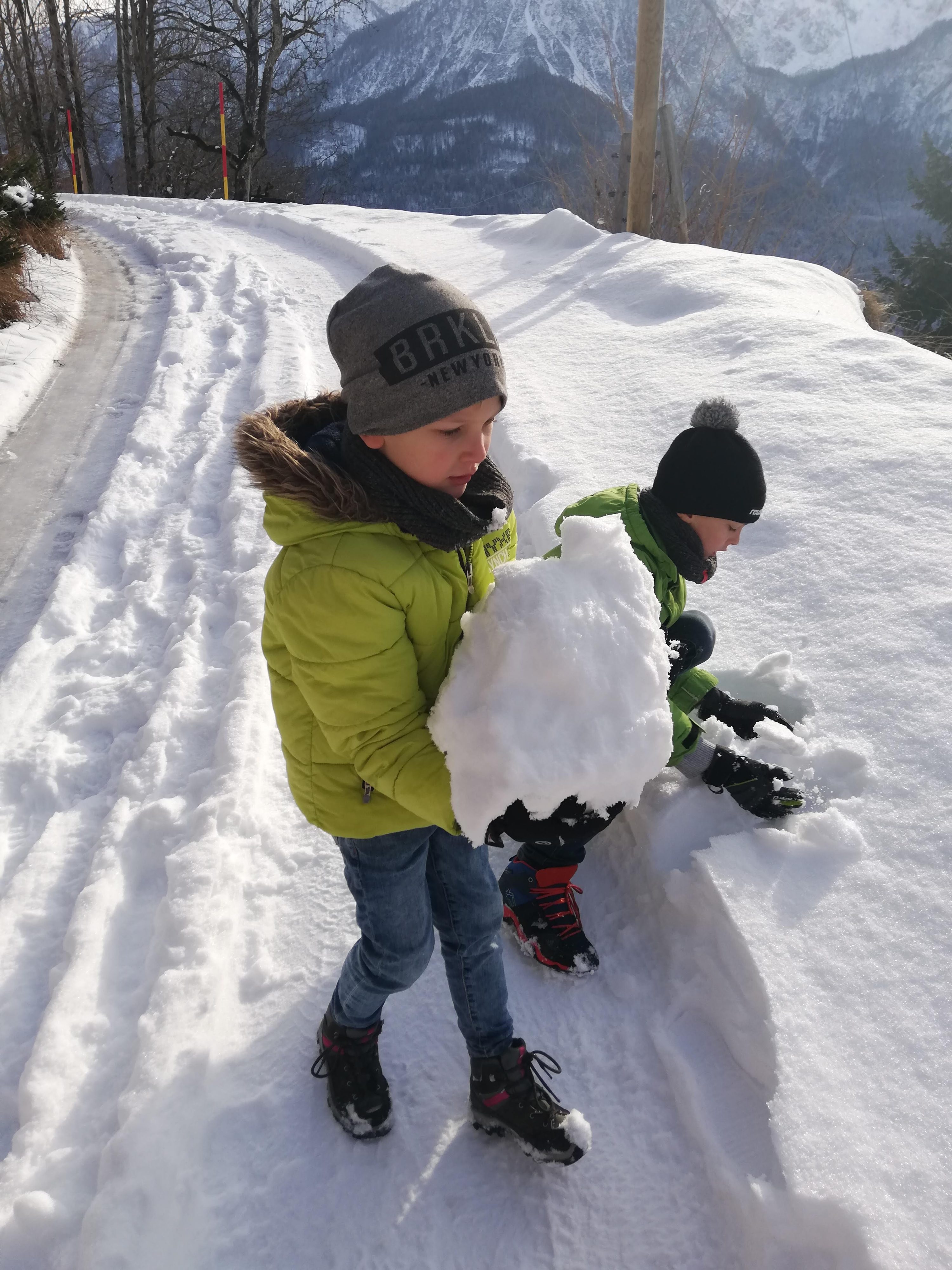 Srednji vrh Gozd Martuljek