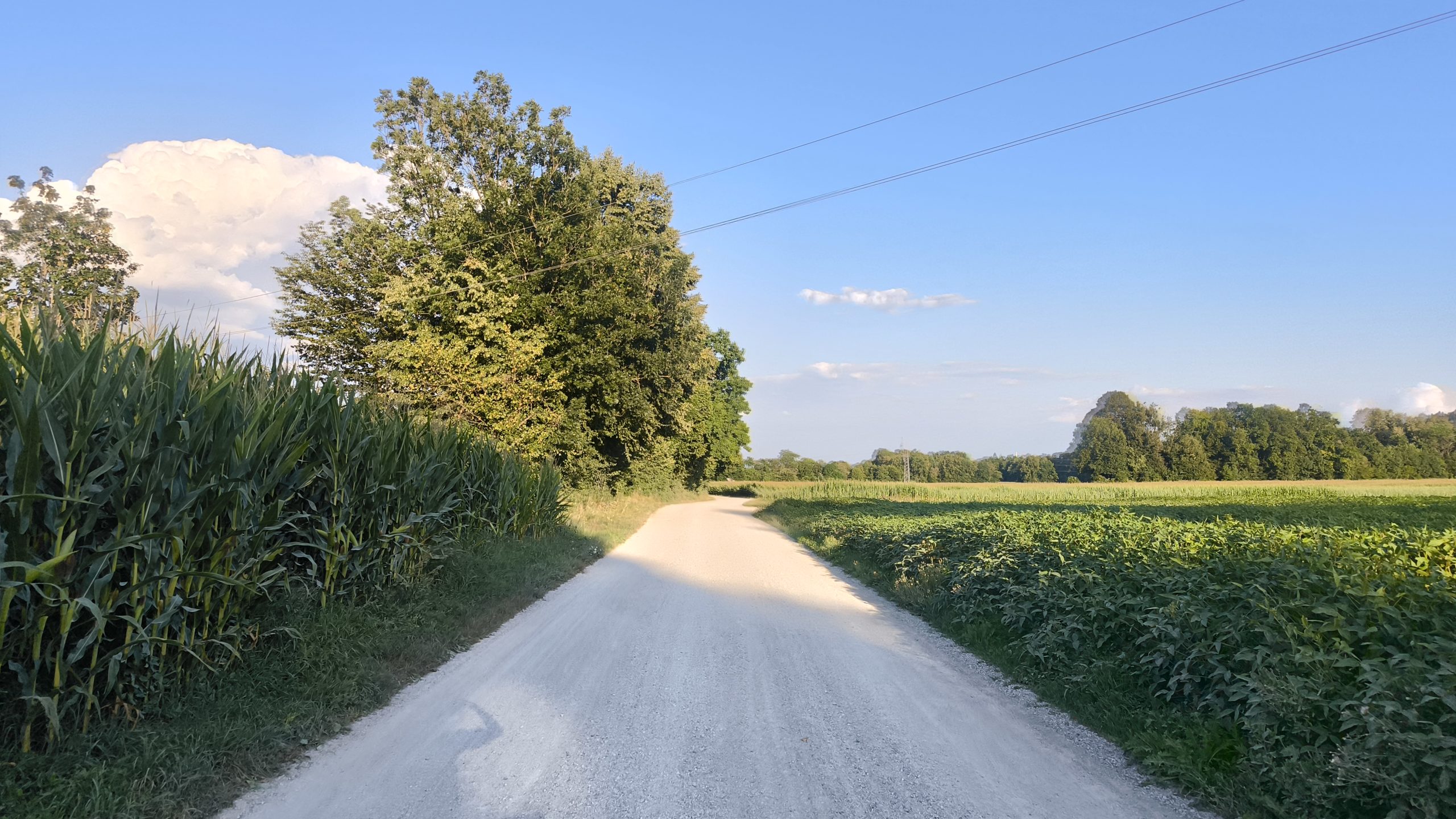 Makadamska cesta Medno