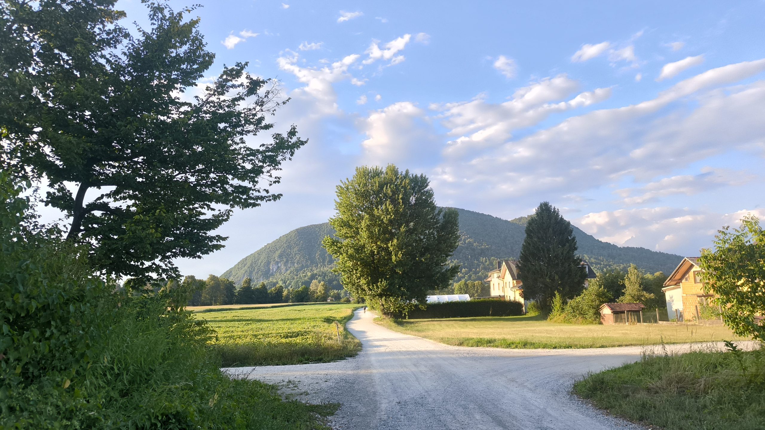 Šmarna gora makadamska cesta